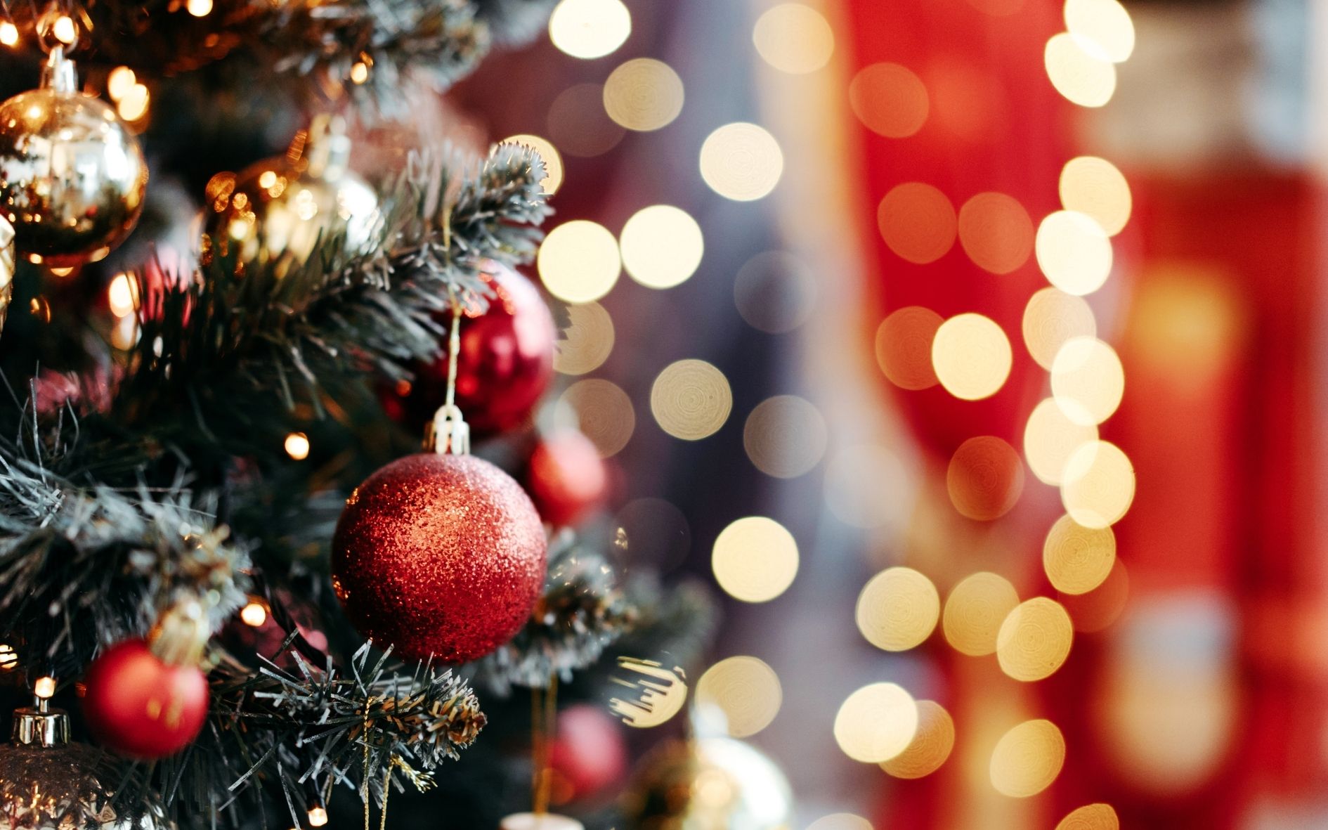 🎄✨ Festive Party Night - Saturday 5th December