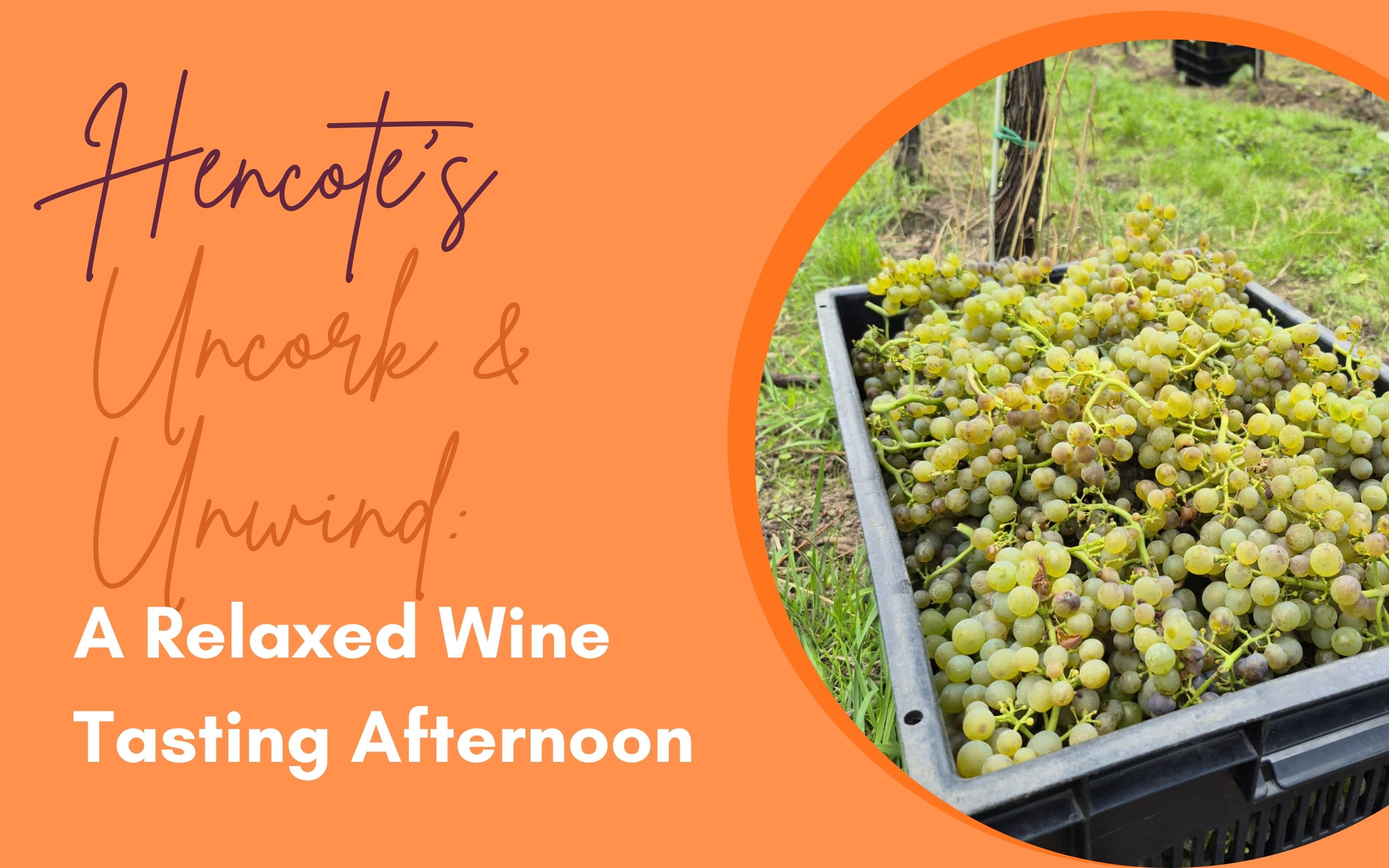 Uncork & Unwind: A Relaxed Wine Tasting Afternoon - Saturday 31st October