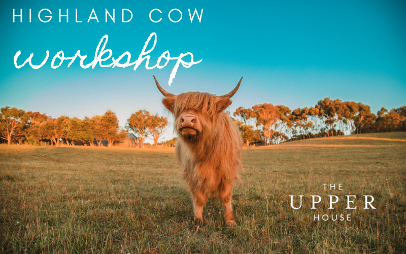 Highland Cow Pottery Workshop - Sunday 10th May