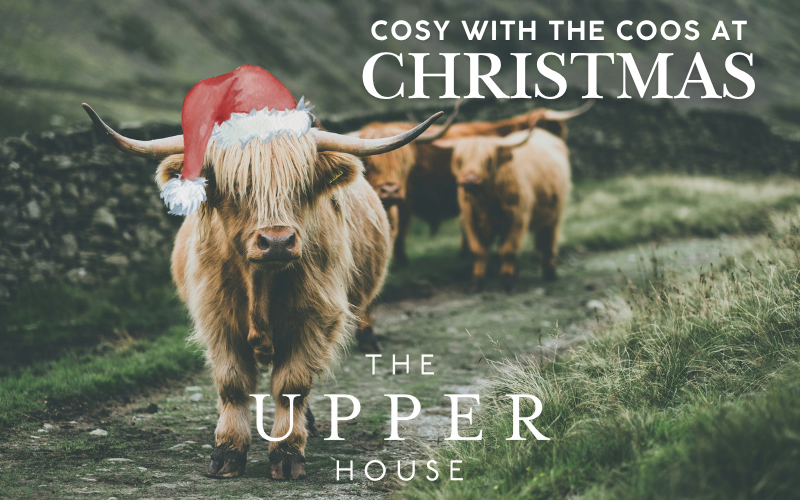 Cosy with the Coos at Christmas