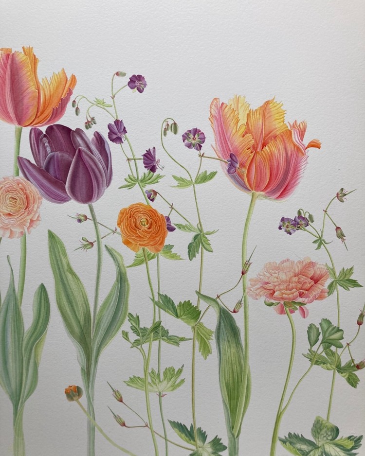Botanical Watercolour Workshop - Monday 27th April, 10am