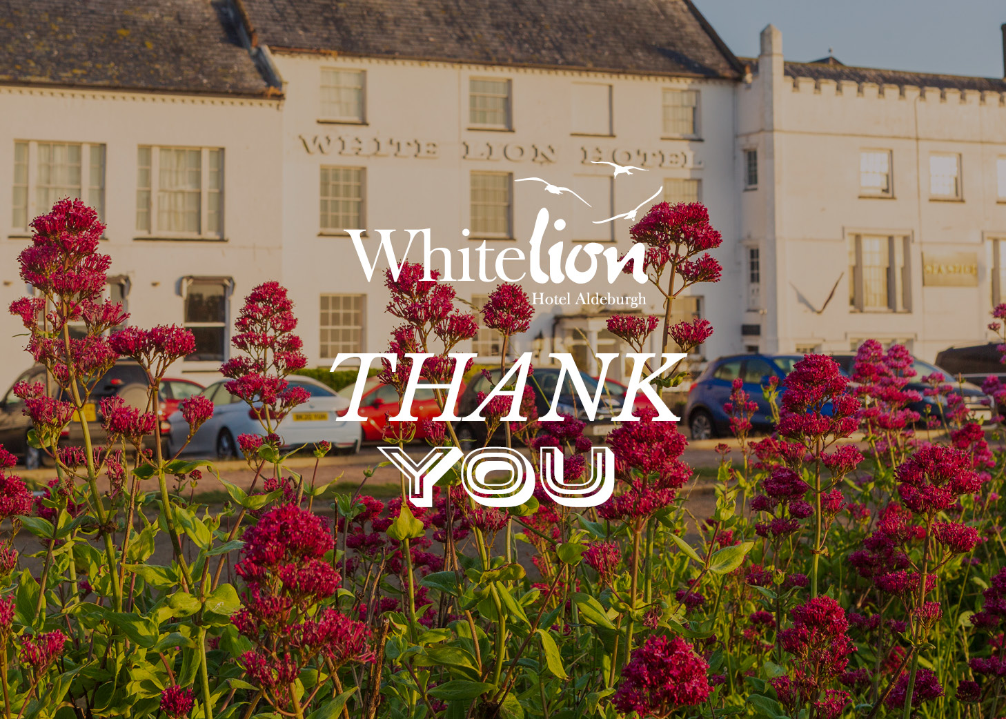 Thank You - White Lion Monetary Gift Voucher