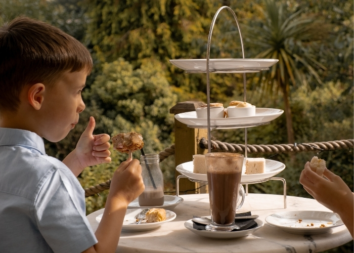 Children's Afternoon Tea for one