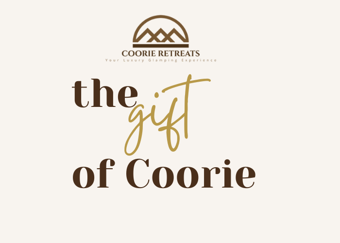 Coorie Gift Voucher