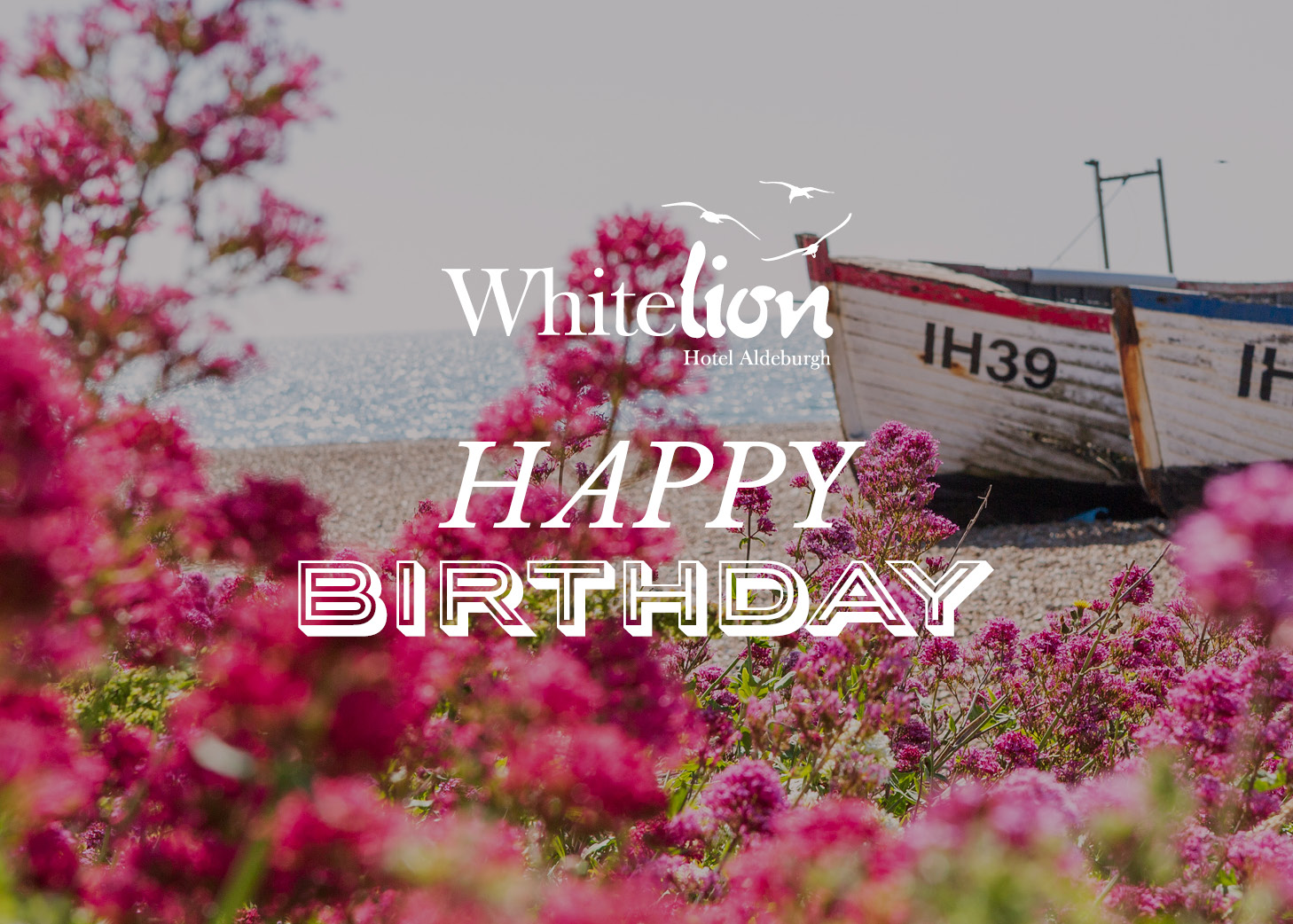 Happy Birthday - White Lion Monetary Gift Voucher
