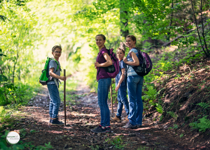 Wandern in der Pfalz