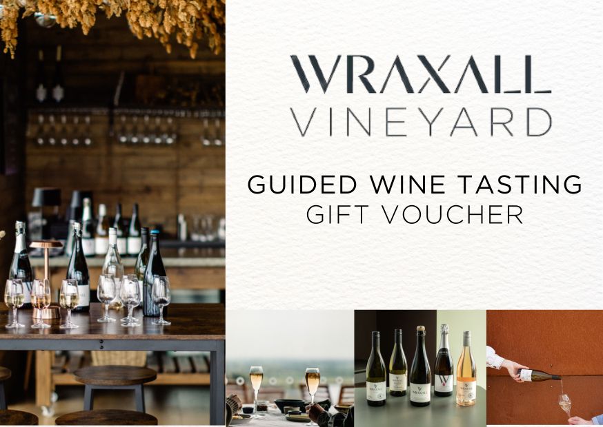 Guided Wine Tasting Experience