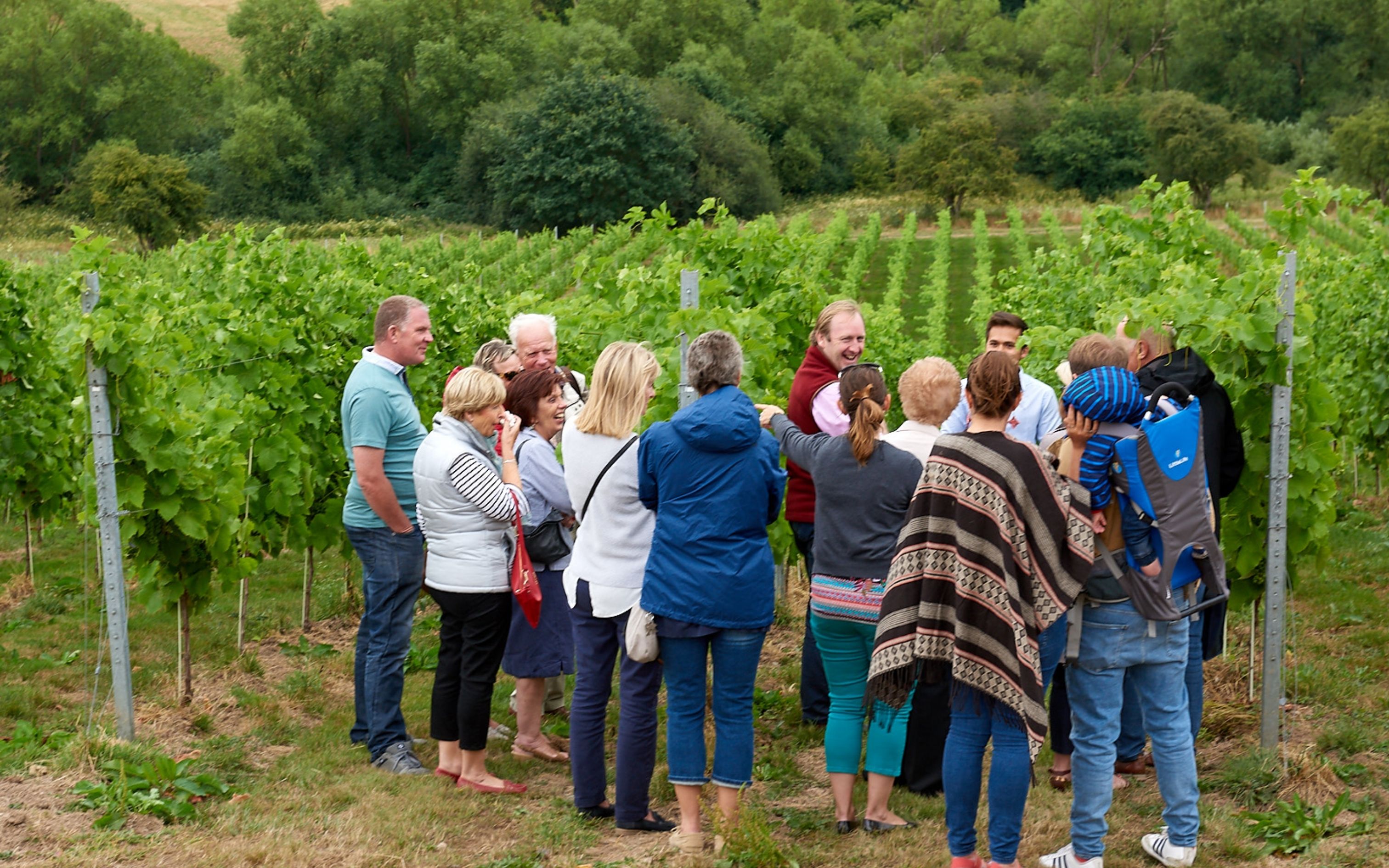 Wine Tasting Experience Voucher