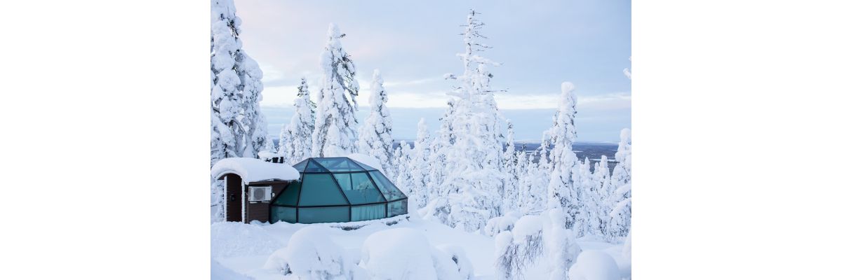 Gift Card Prime Superior igloo Peak season