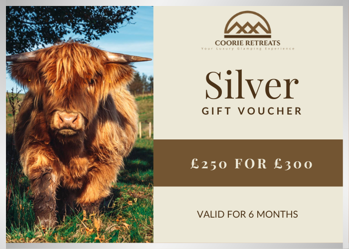 Silver Gift Voucher