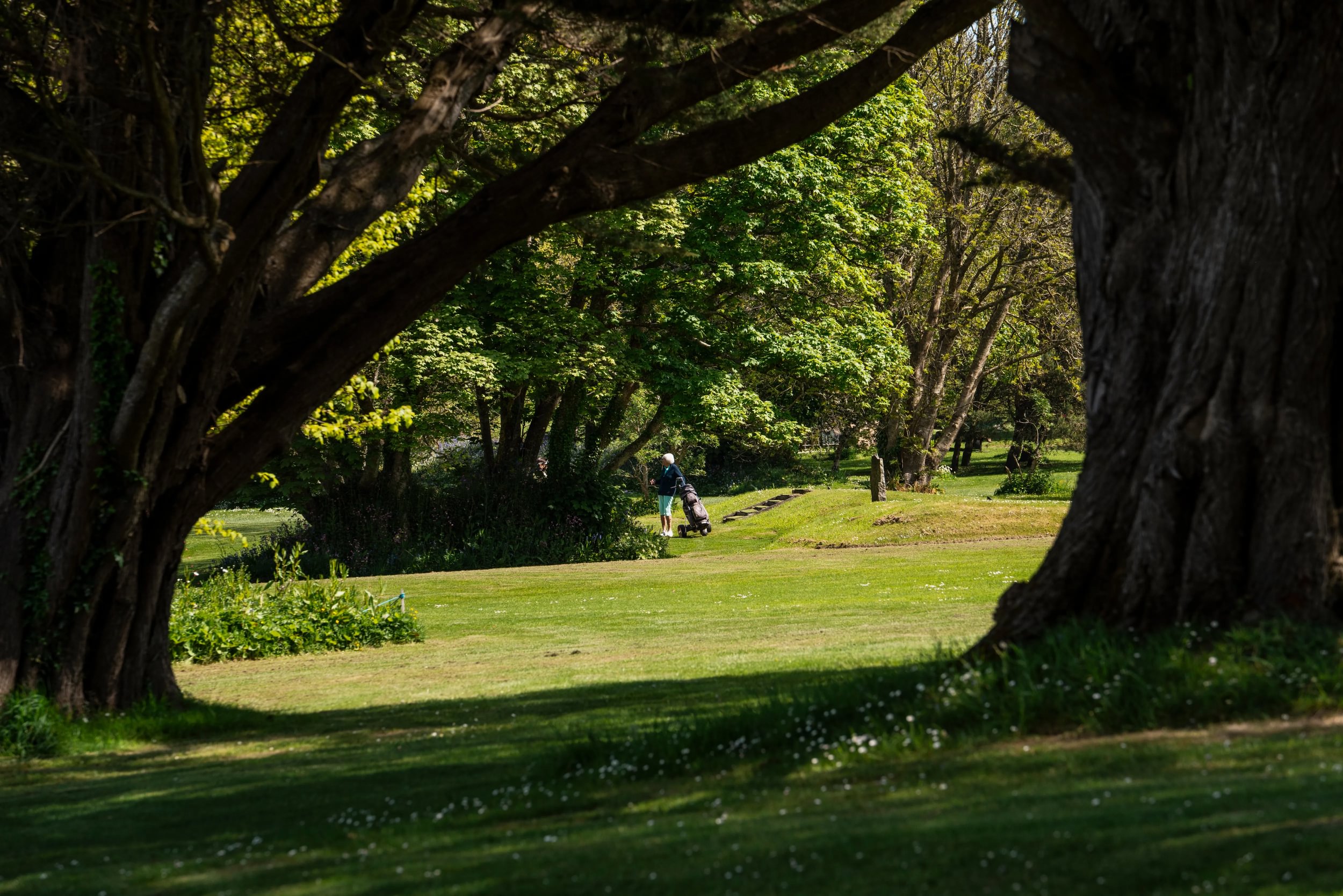 Voucher Extension | Six Months