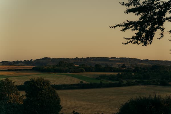 Afternoon Tea for Two with Champagne