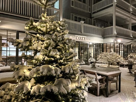 Weihnachtsgeschenk Gutschein