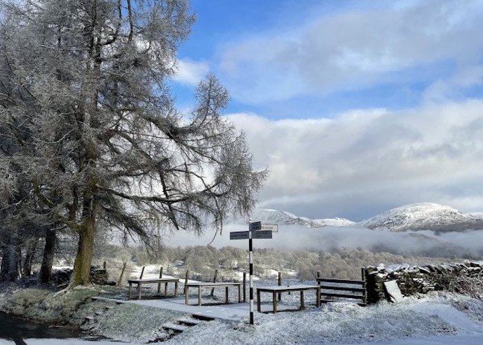 Midweek Winter One Night's Stay & Dinner (Standard Room)