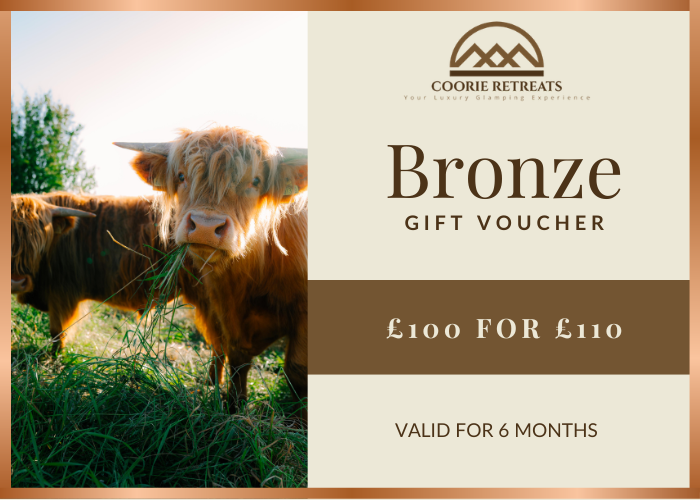 Bronze Gift Voucher
